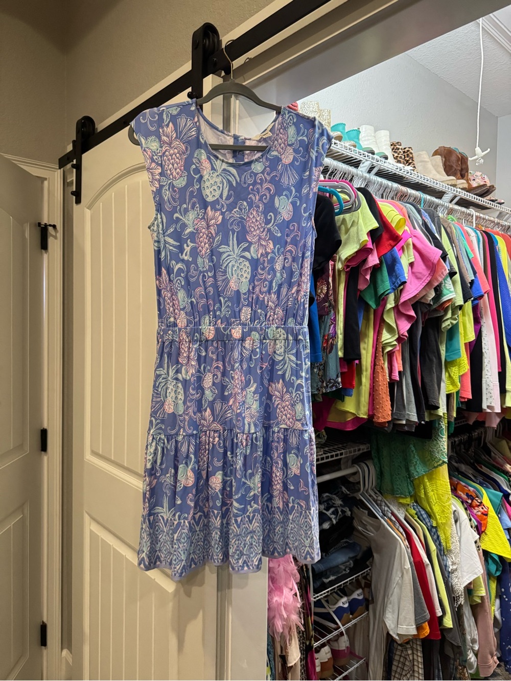Lilly Pulitzer Danville Dress